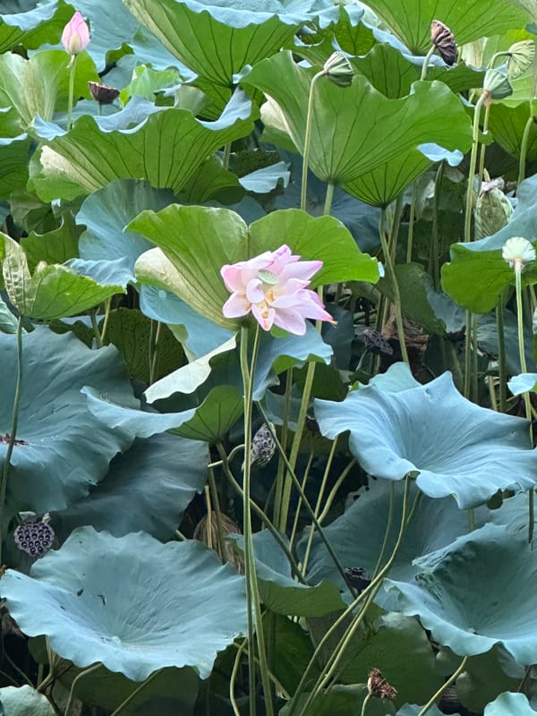 You’re Your One True Love