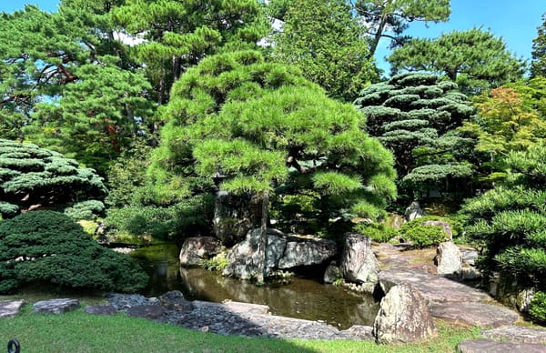 Strength That Stays Soft